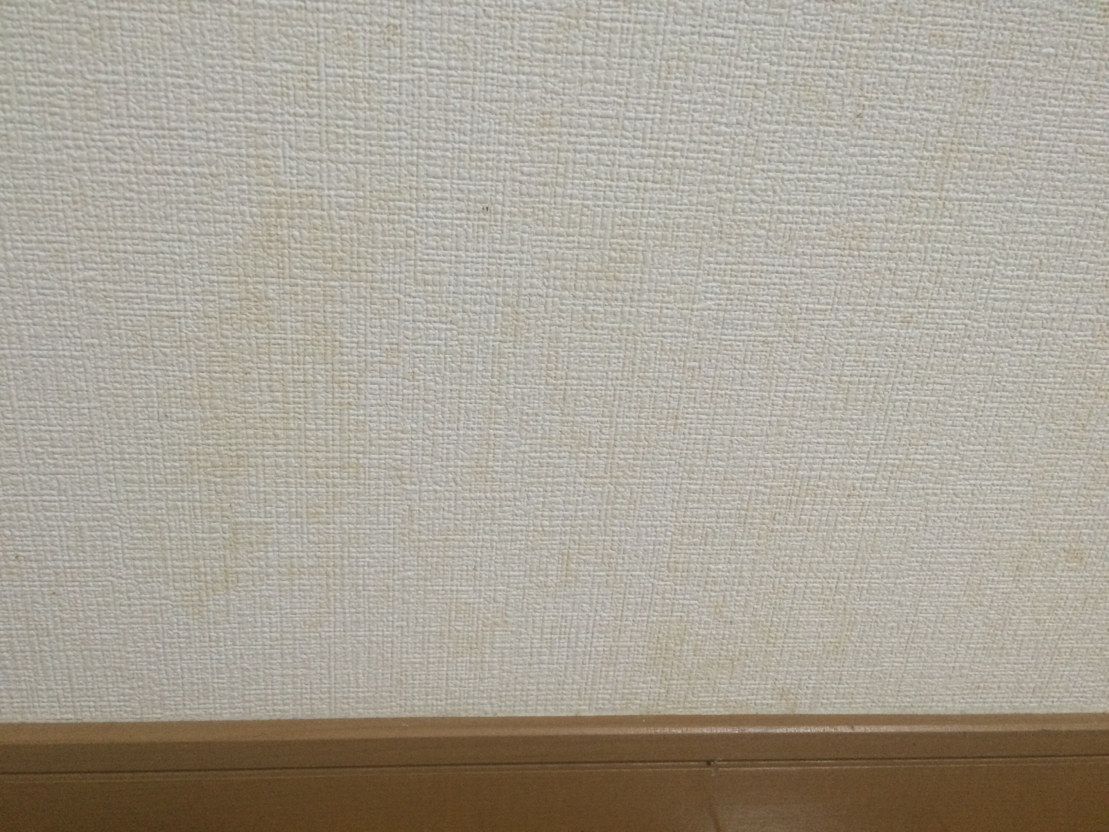 うさぎのおしっこで壁紙が汚れたら 床材を選ぶときの注意点 フレンチロップ まったりぷーちゃん日和