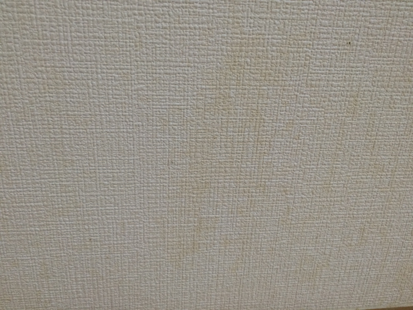 うさぎのおしっこで壁紙が汚れたら 床材を選ぶときの注意点 フレンチロップ まったりぷーちゃん日和